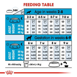 Royal Canin Maxi Starter Mother and Babydog - Dry food for large puppies - Adult weight between 26 and 44 KG. Mother during gestation and lactation - Weaning puppies up to 2 months