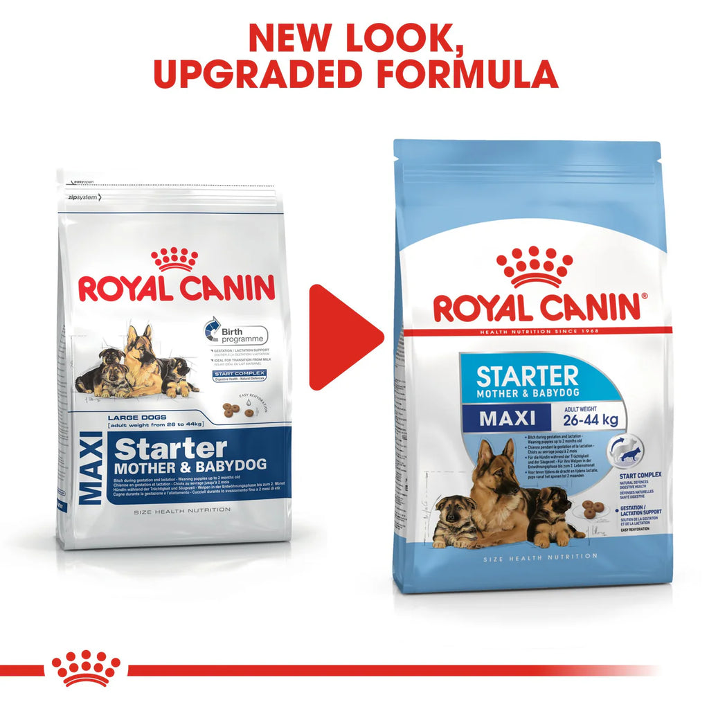 Royal Canin Maxi Starter Mother and Babydog - Dry food for large puppies - Adult weight between 26 and 44 KG. Mother during gestation and lactation - Weaning puppies up to 2 months