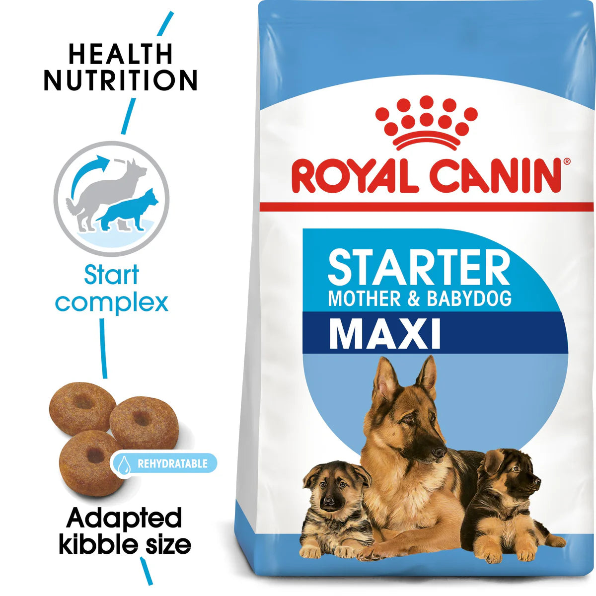 Royal Canin Maxi Starter Mother and Babydog - Dry food for large puppies - Adult weight between 26 and 44 KG. Mother during gestation and lactation - Weaning puppies up to 2 months