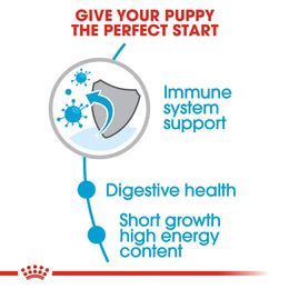 Royal Canin Medium Puppy - Dry food for medium dogs - adult weight from 11 to 25 KG. from 2 to 12 months