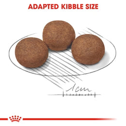 Royal Canin Medium Puppy - Dry food for medium dogs - adult weight from 11 to 25 KG. from 2 to 12 months