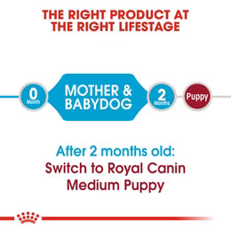 Royal Canin Medium Starter Mother and Babydog (4kg) - for medium dogs - Adult weight between 11 and 25 KG. Mother during gestation and lactation - weaning puppies up to 2 months