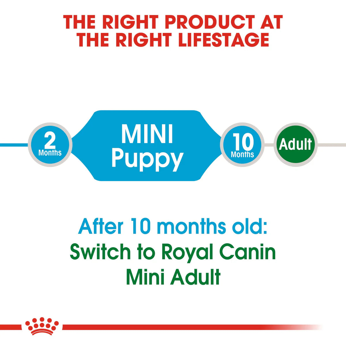 Royal Canin Mini Puppy - Dry food for small dogs - Adult weight up to 10 KG From 2 to 10 months old
