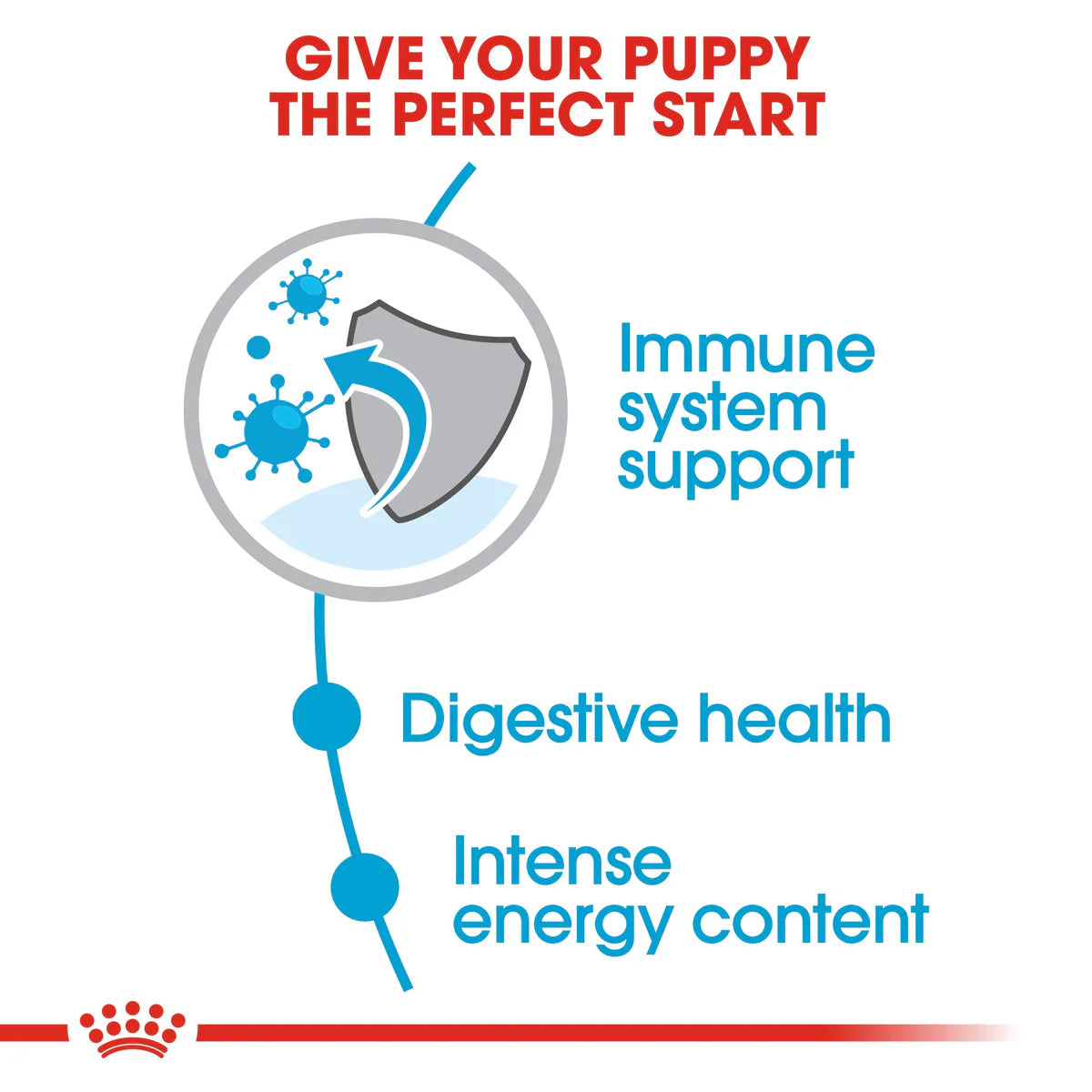 Royal Canin Mini Puppy - Dry food for small dogs - Adult weight up to 10 KG From 2 to 10 months old