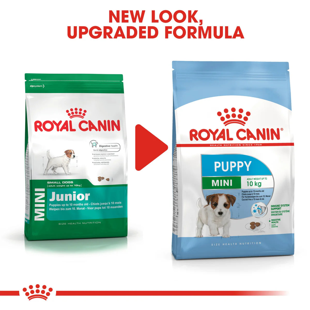 Royal Canin Mini Puppy - Dry food for small dogs - Adult weight up to 10 KG From 2 to 10 months old