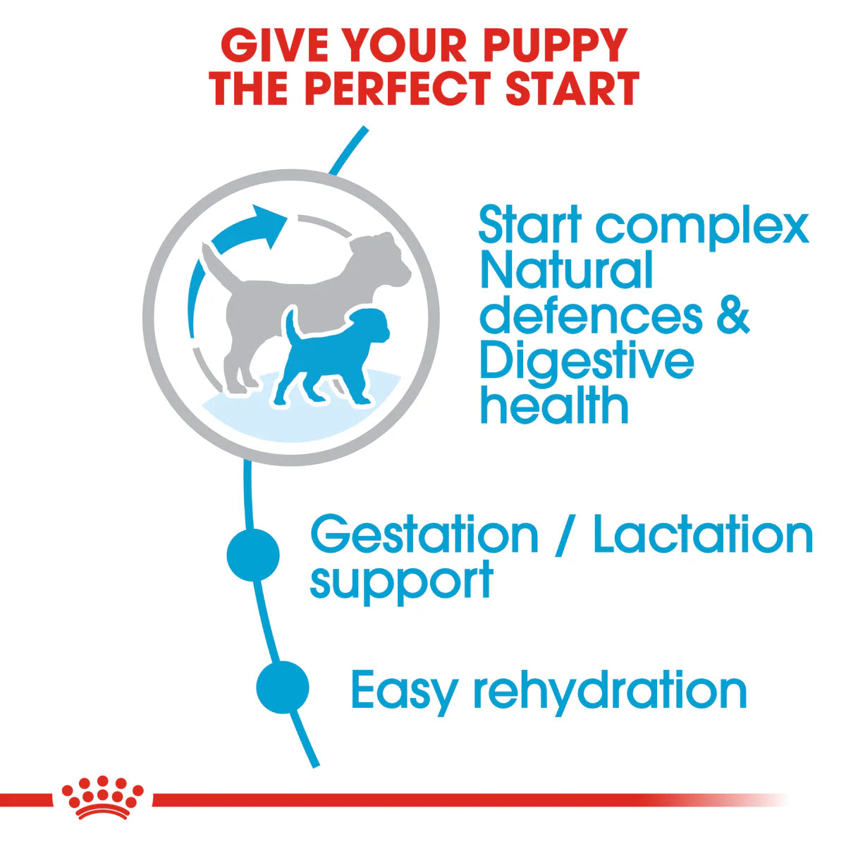 Royal Canin Mini Starter Mother & Babydog (1 KG) - Dry food for mini puppies. Adult weight up to 10 KG - Mother during gestation and lactation - Weaning puppies up to 2 months