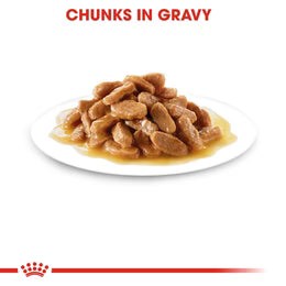 Royal Canin Maxi Puppy in Gravy (140 gm\pouch) - wet food for large dogs - Adult weight from 26 to 44 KG. From 2 to 15 months