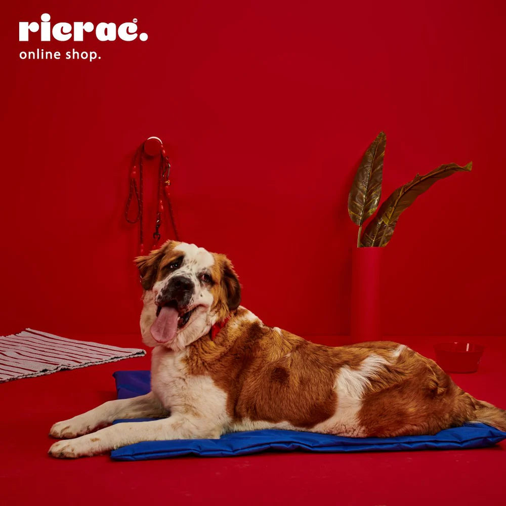 روزو - سجادة قابلة للطي وخفيفة الوزن ومقاومة للماء للحيوانات الأليفة