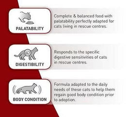 Royal Canin SC 365D (15 KG) - Dry food for Sterilised adult cats over 1 year living in shelters or rescue centers