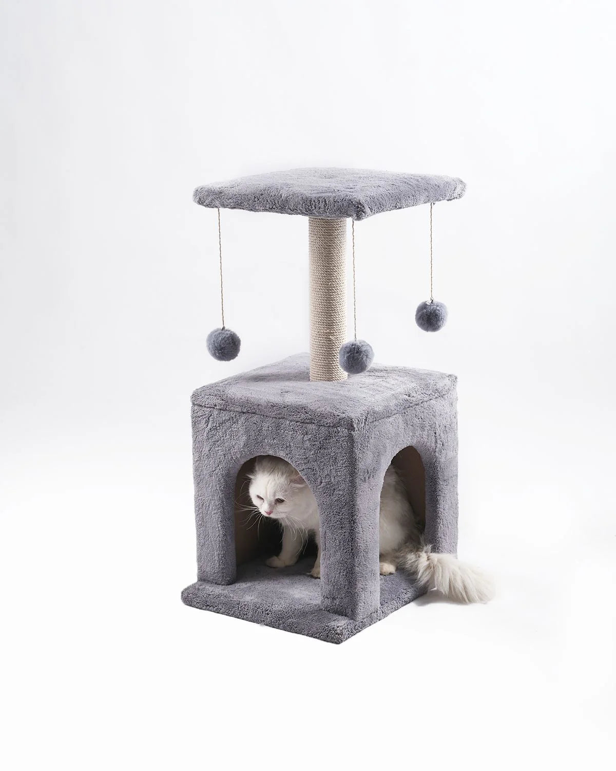 Cat house 10014