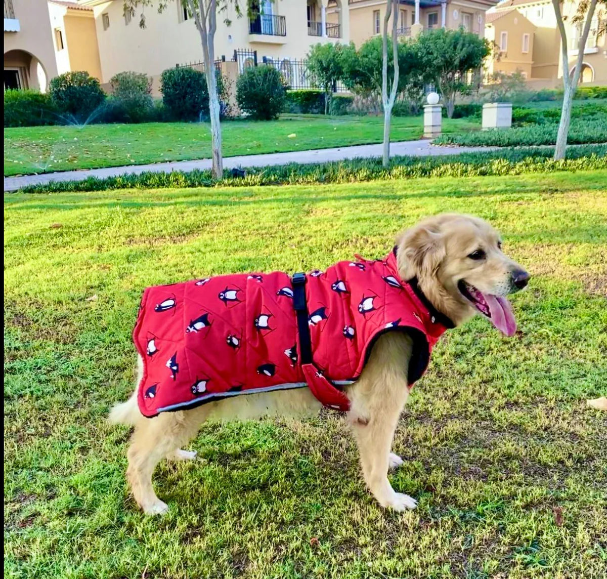 معطف بنقشة البطريق