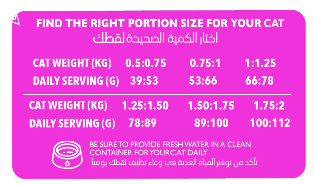 Legends For Kitten Dry Food