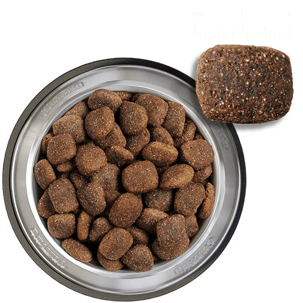 بيلكاندو قوة للبالغين - 12.5 كجم 