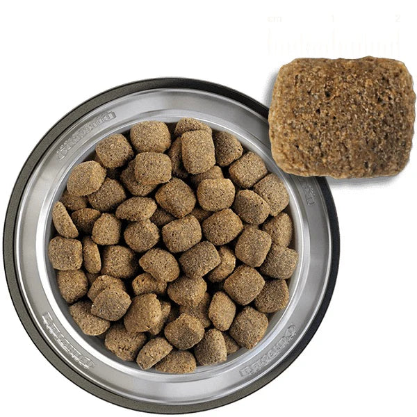 عشاء بيلكاندو للكبار 