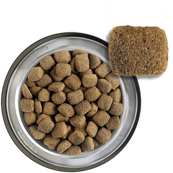 بيلكاندو جونيور ماكسي