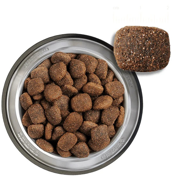 بيلكاندو للبالغين النشط